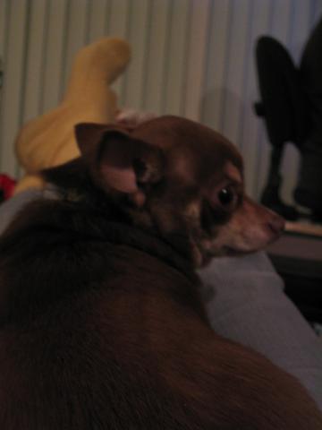 DC March 10, 2003   Andy's   39