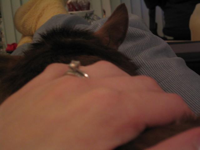 DC March 10, 2003   Andy's   40