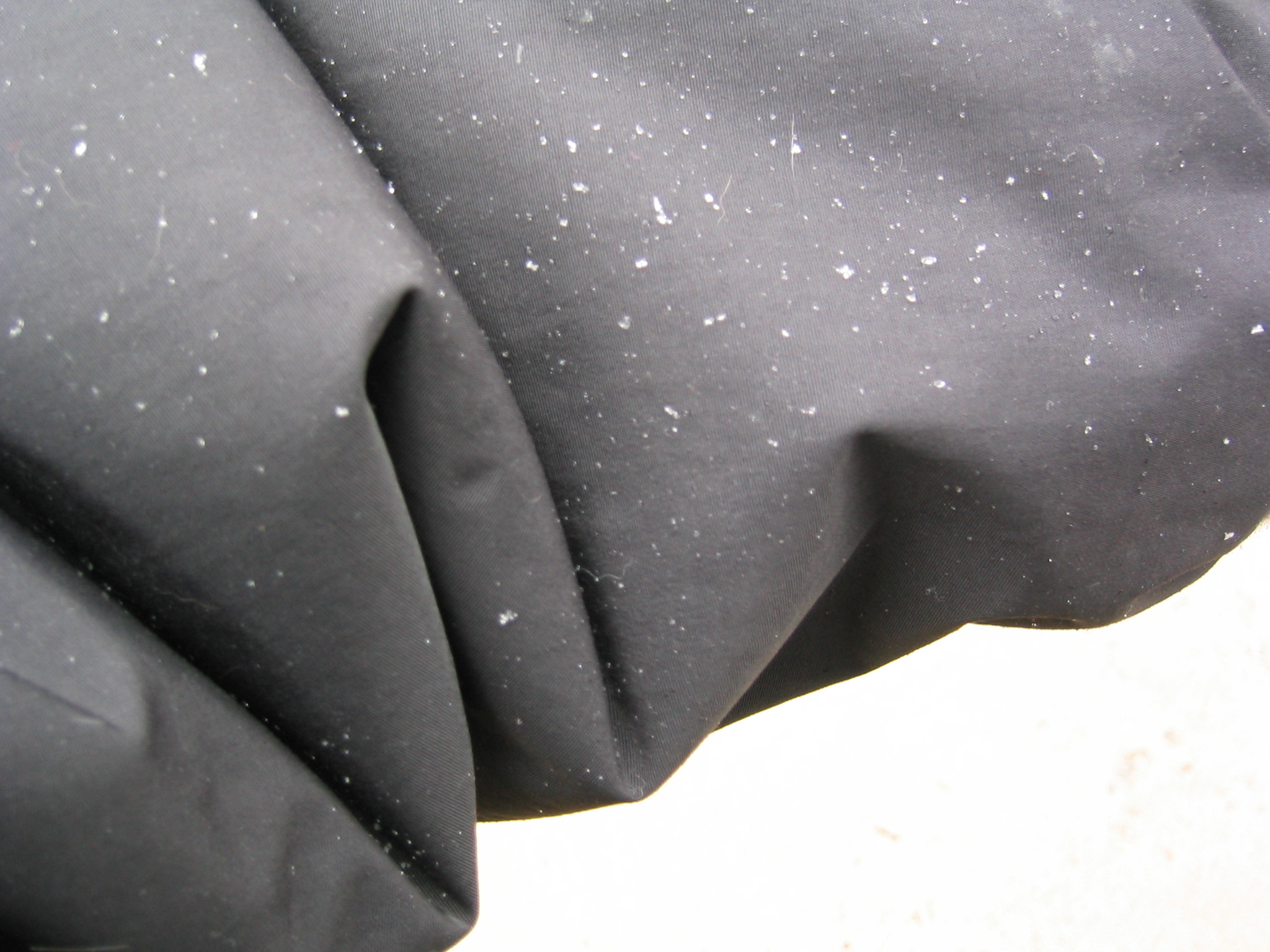 DC March 11, 2003   Andy's   05