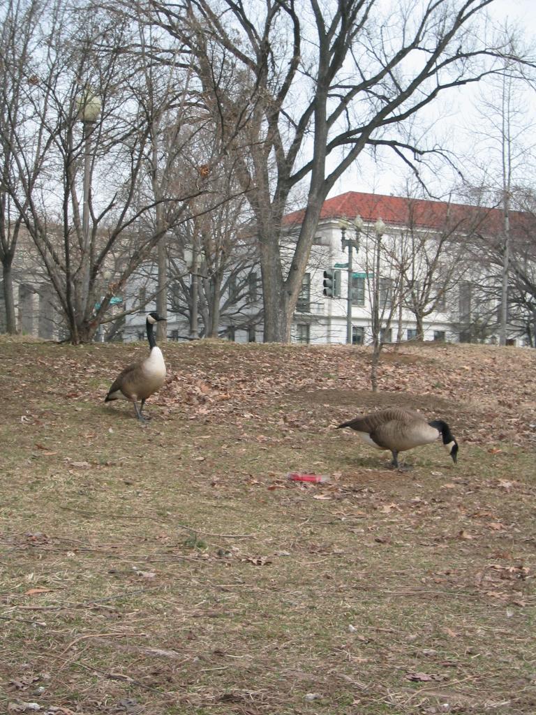 DC March 12, 2003   Andy's   26