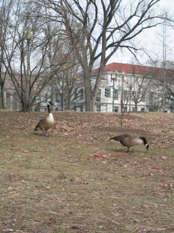 DC March 12, 2003   Andy's   26