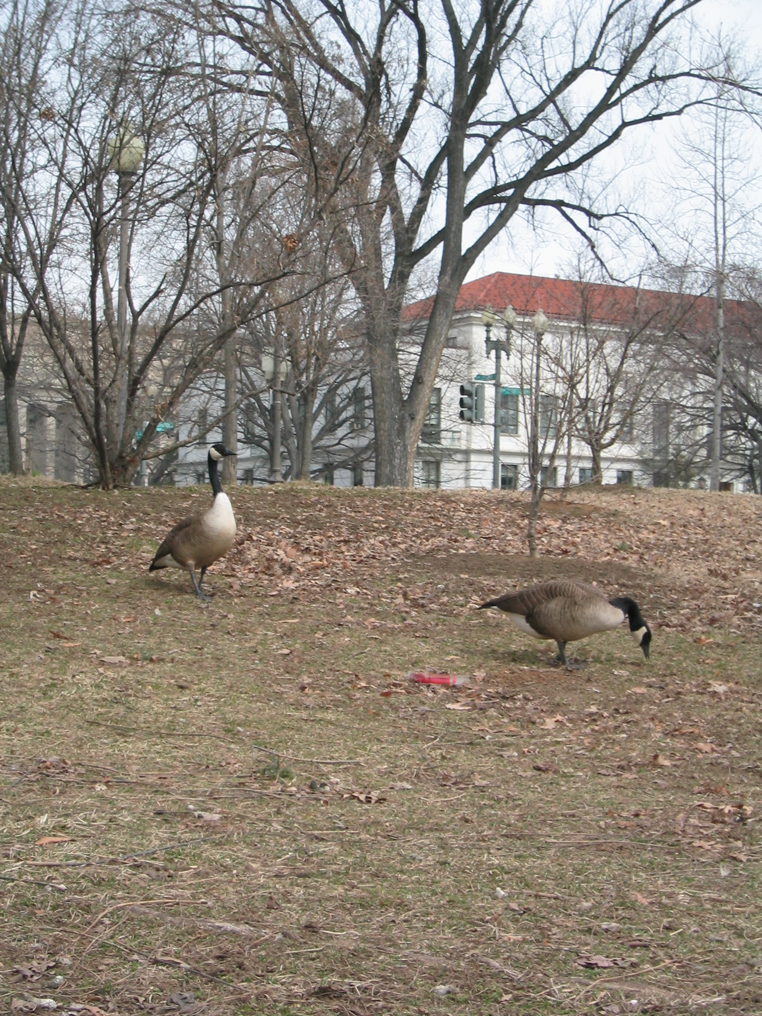 DC March 12, 2003   Andy's   26