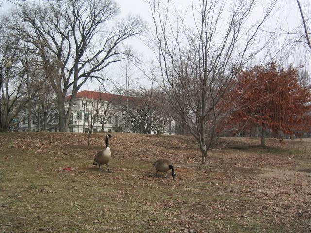 DC March 12, 2003   Andy's   27