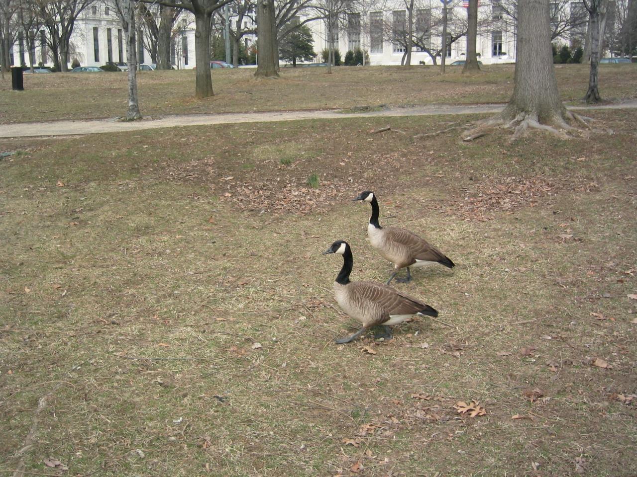 DC March 12, 2003   Andy's   28