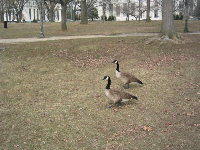 DC March 12, 2003   Andy's   28