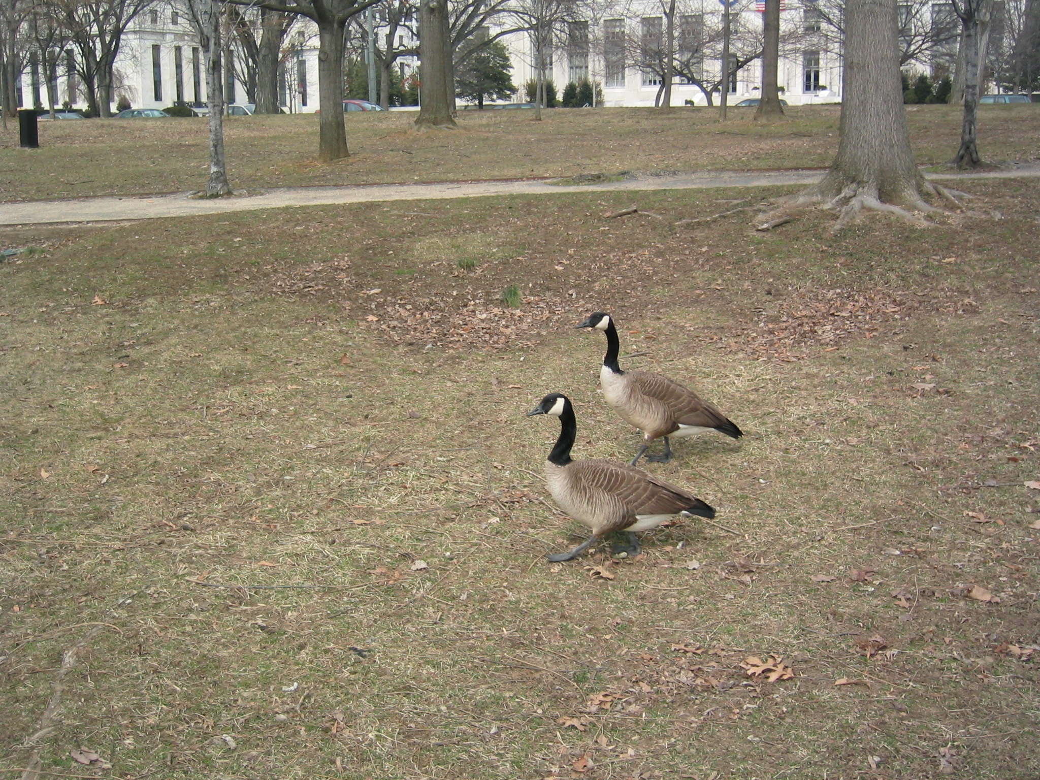 DC March 12, 2003   Andy's   28