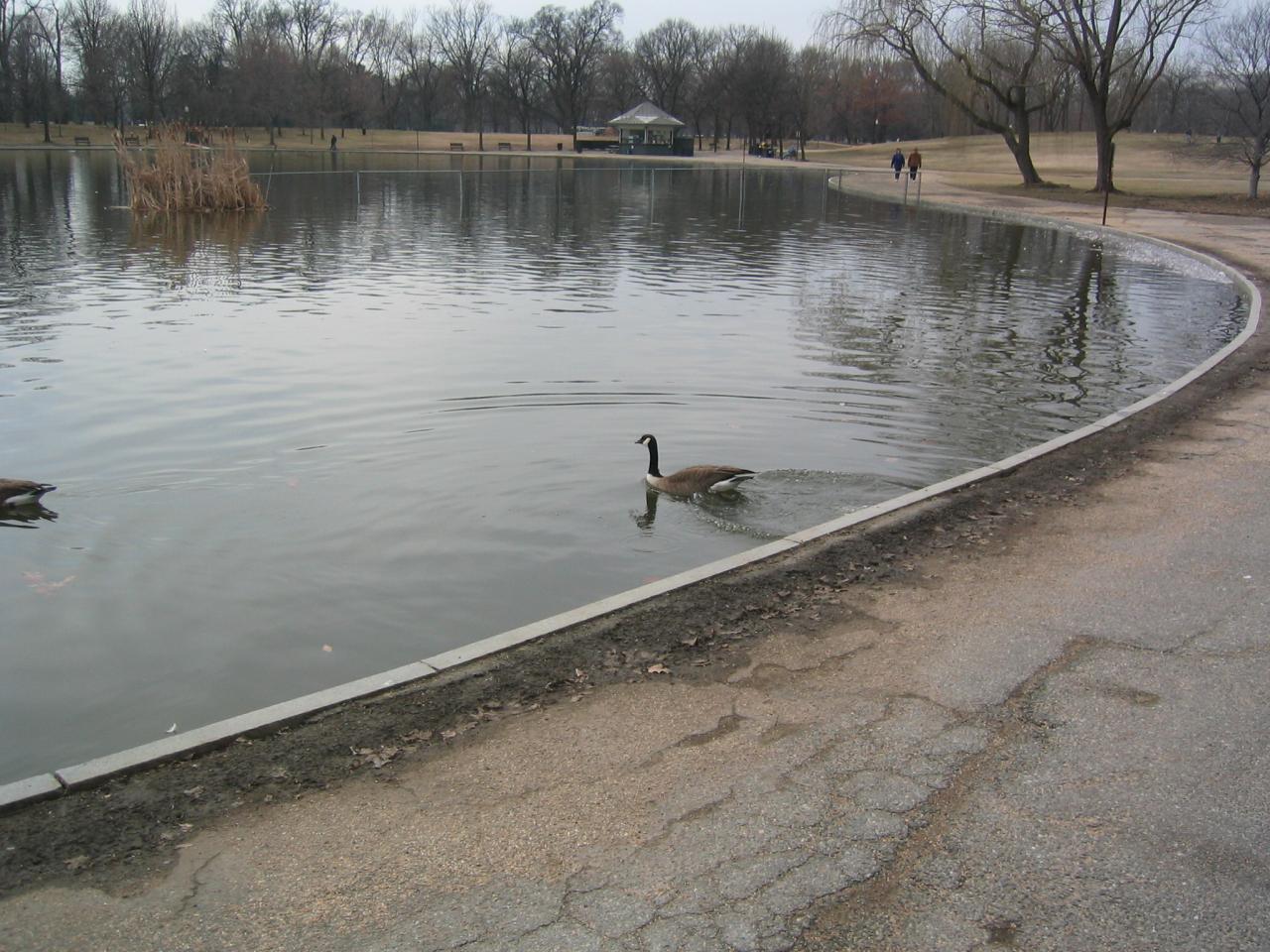 DC March 12, 2003   Andy's   29