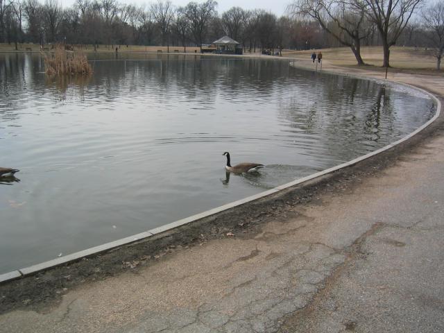 DC March 12, 2003   Andy's   29