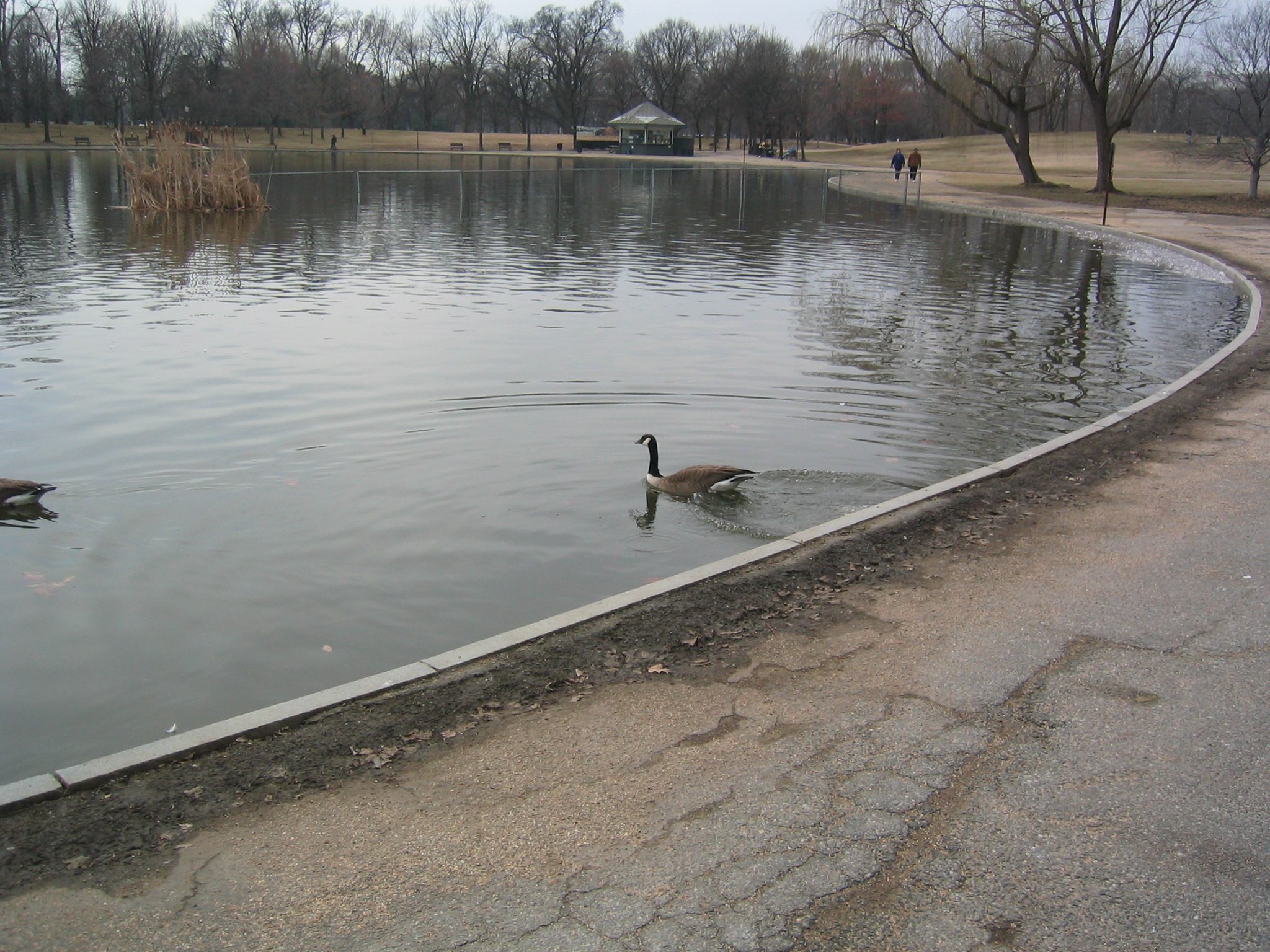 DC March 12, 2003   Andy's   29