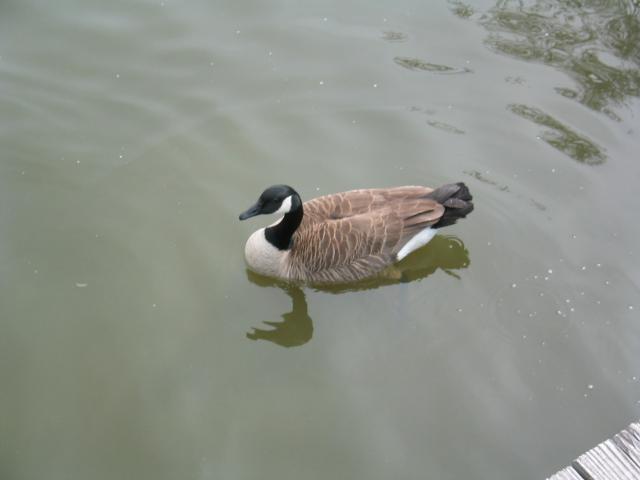 DC March 12, 2003   Andy's   31