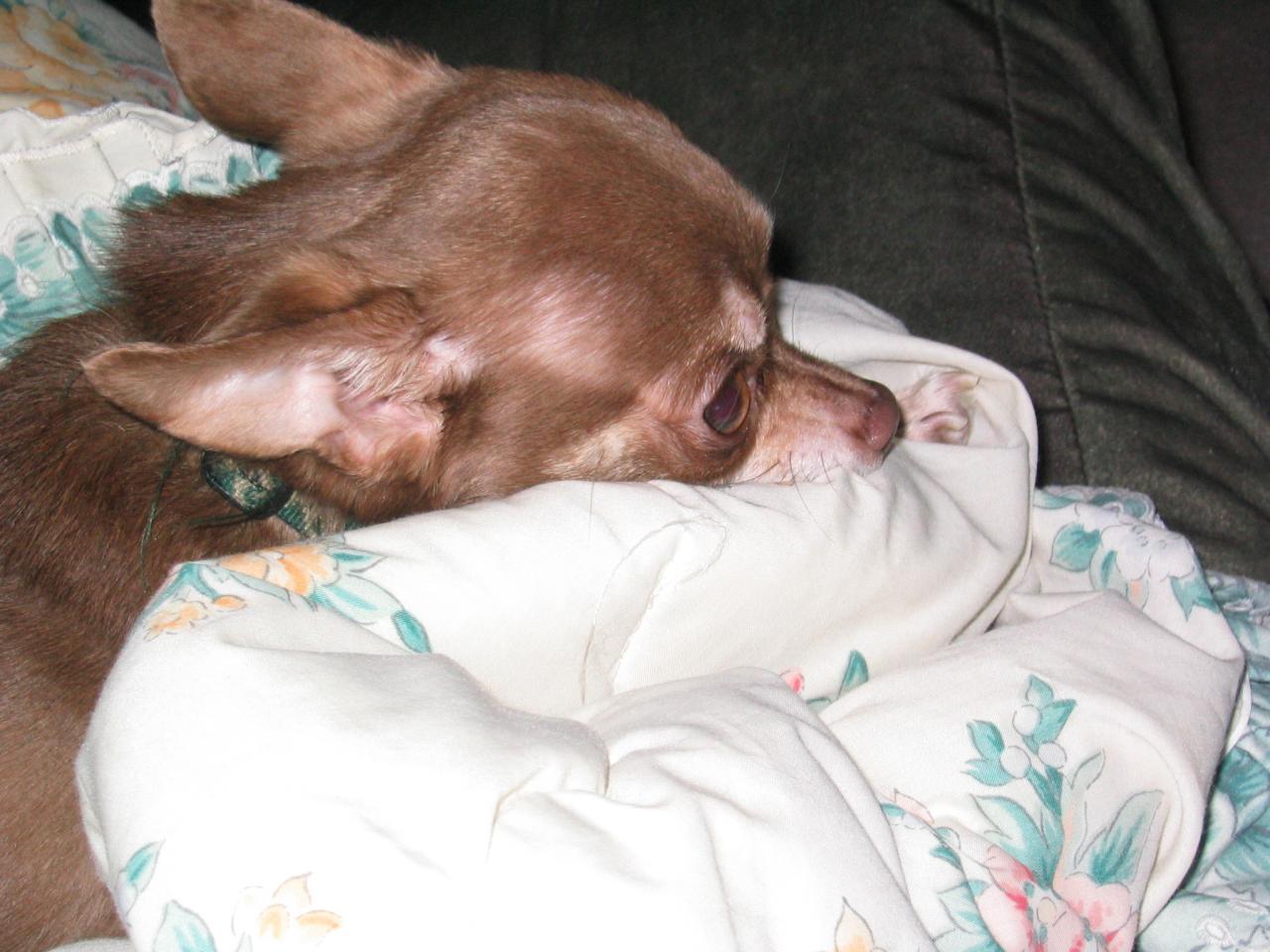 DC March 12, 2003   Andy's   49