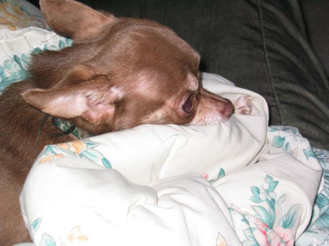 DC March 12, 2003   Andy's   49