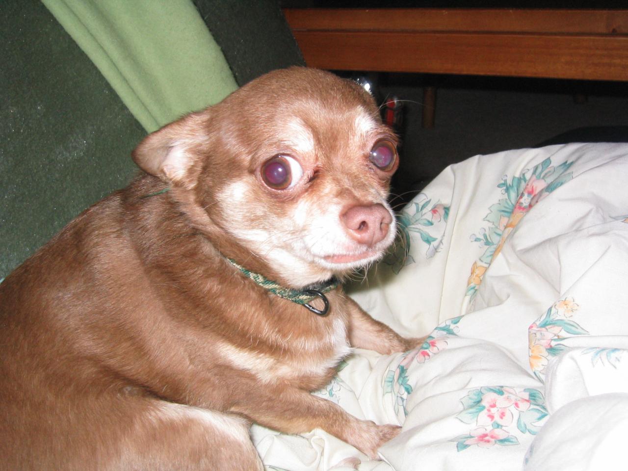 DC March 12, 2003   Andy's   50