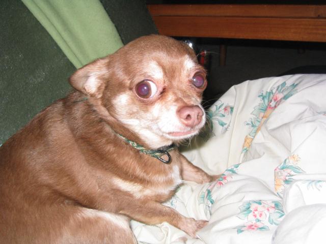 DC March 12, 2003   Andy's   50