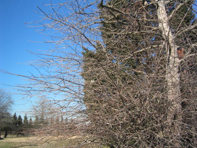 DC March 14, 2003   Andy's   26