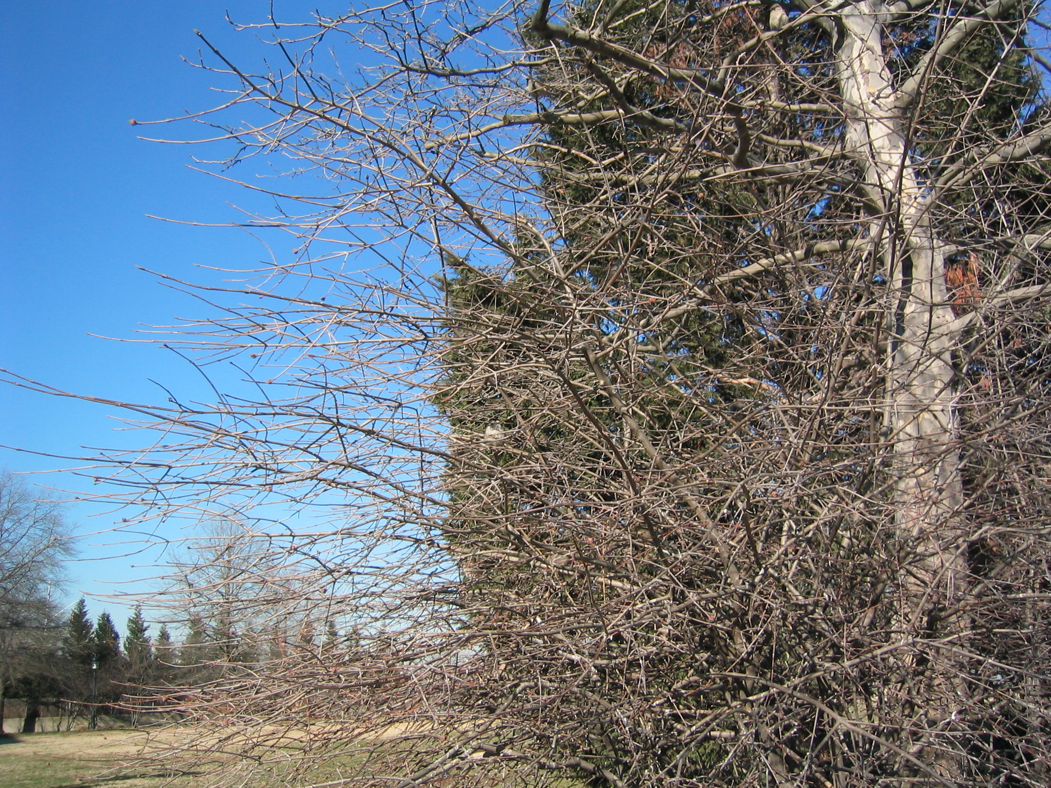 DC March 14, 2003   Andy's   26