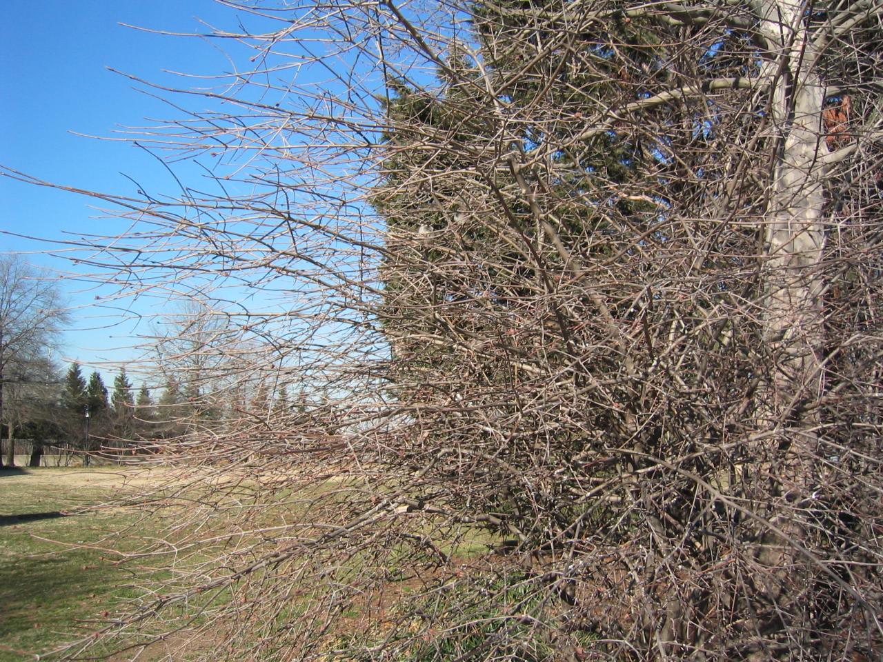 DC March 14, 2003   Andy's   27