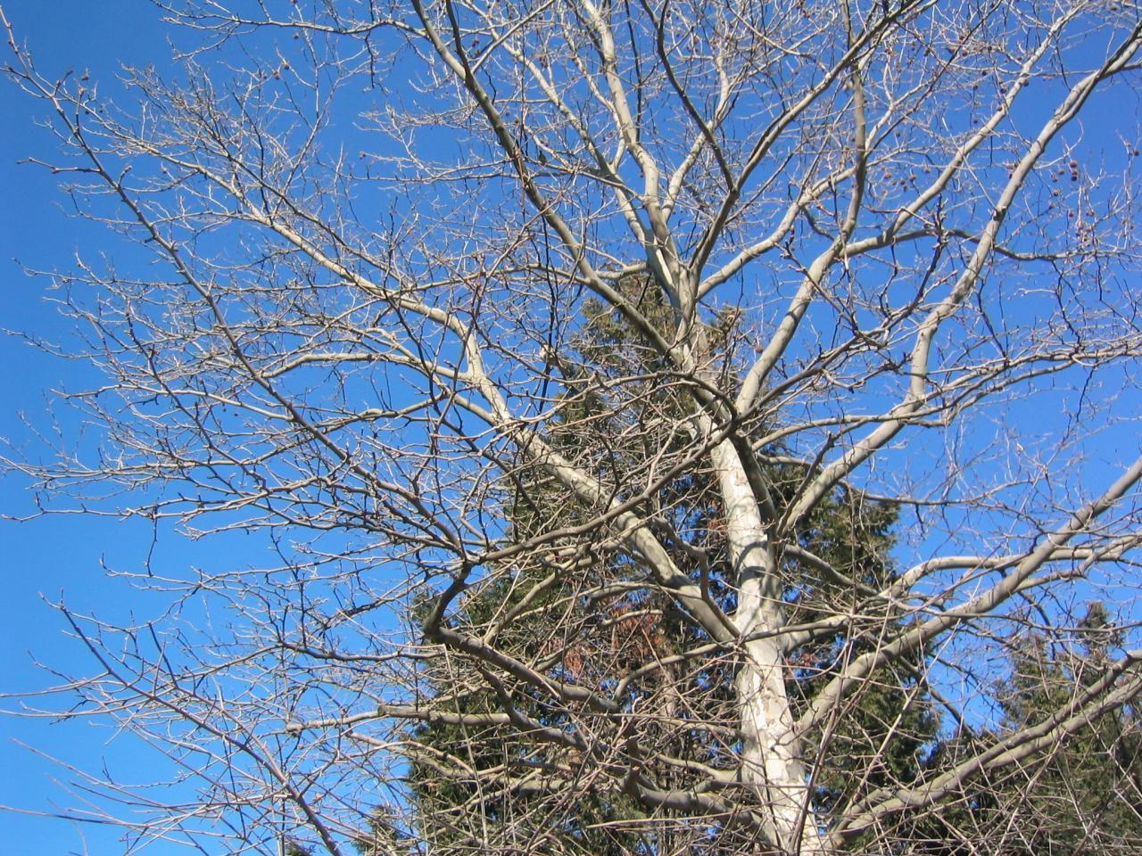 DC March 14, 2003   Andy's   28