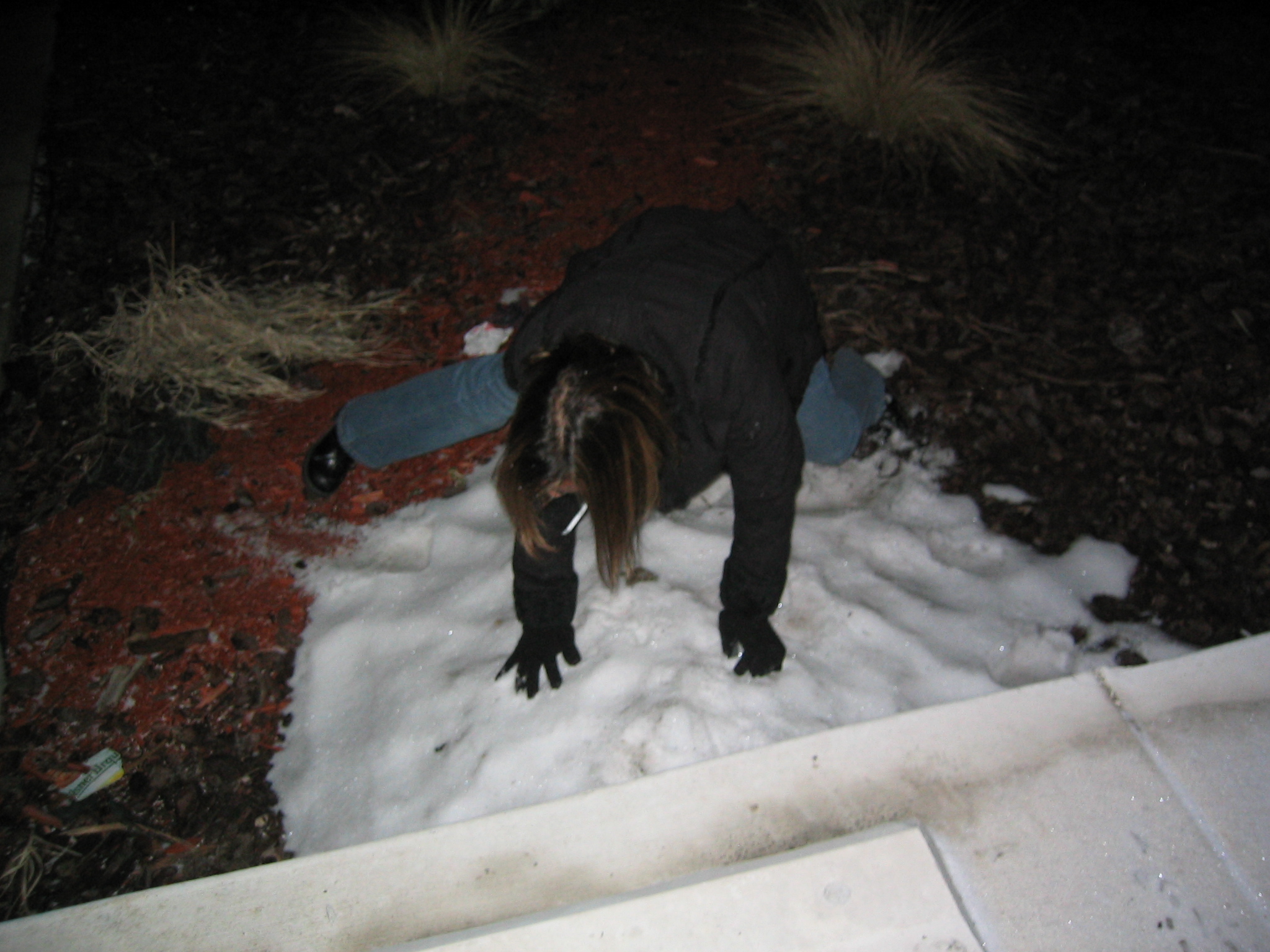 Chicago Feb 2005   046