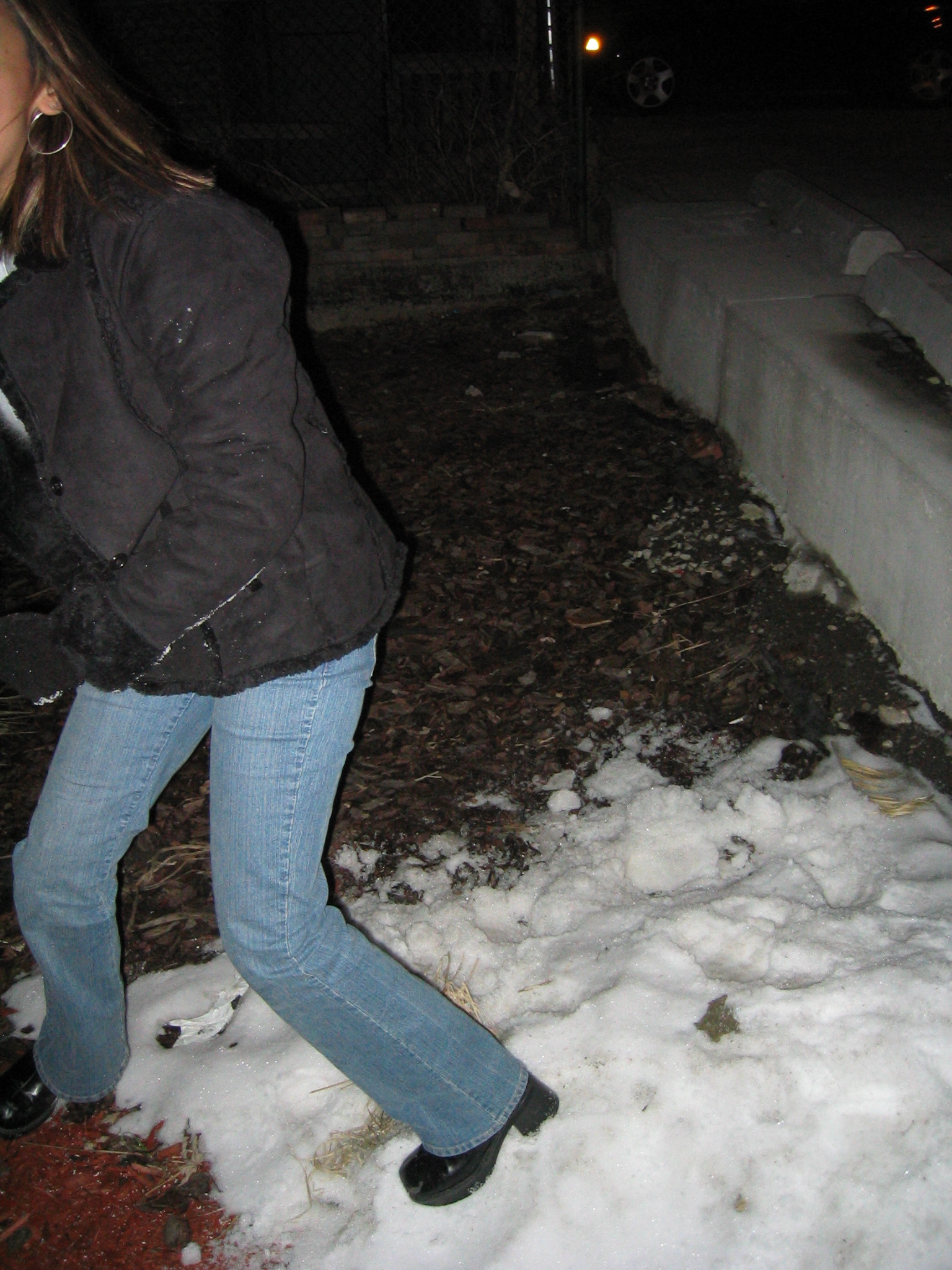 Chicago Feb 2005   047