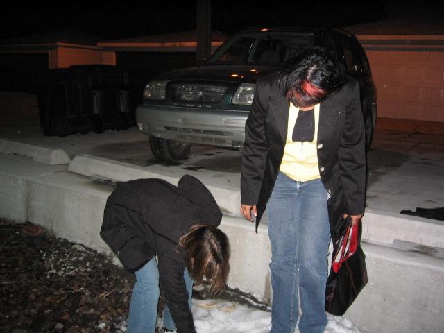 Chicago Feb 2005   048