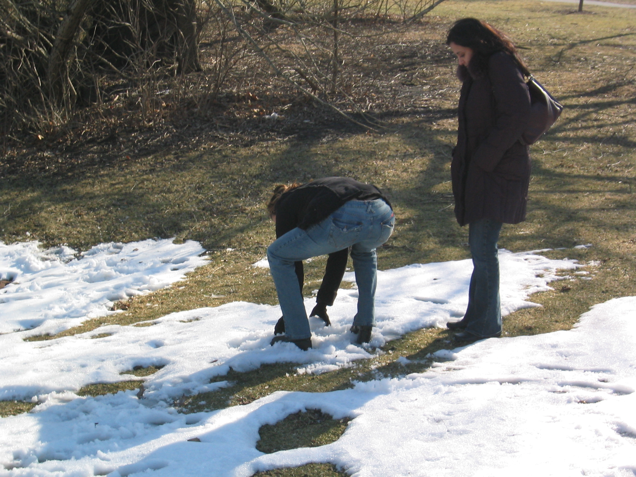 Chicago Feb 2005   092