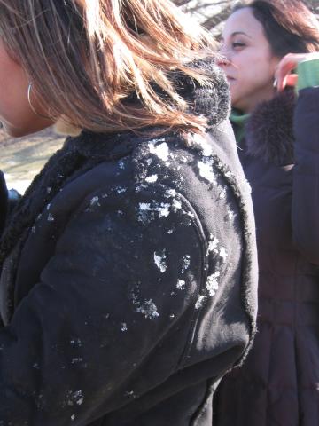 Chicago Feb 2005   096