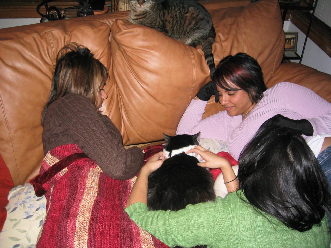 Chicago Feb 2005   110